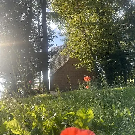 De L'espinette Pairelle